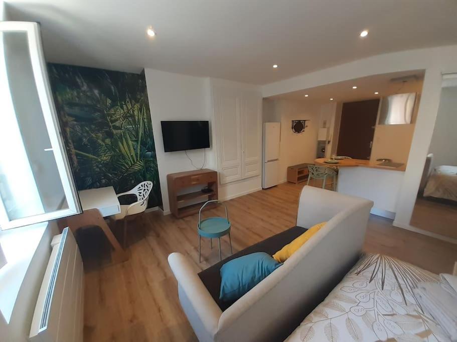 Classe 3 Etoiles Ideal Centre 20 Min De Lyon Apartment Vienne (Isere)