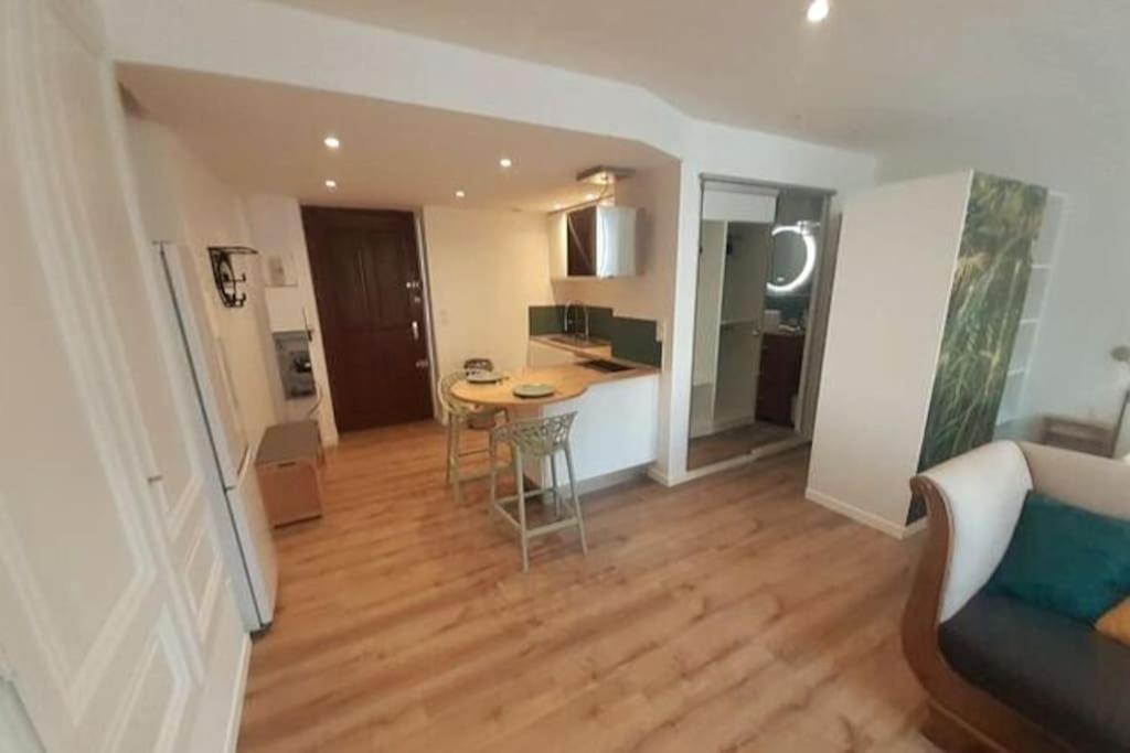 Apartment Classe 3 Etoiles Ideal Centre 20 Min De Lyon Vienne (Isere)